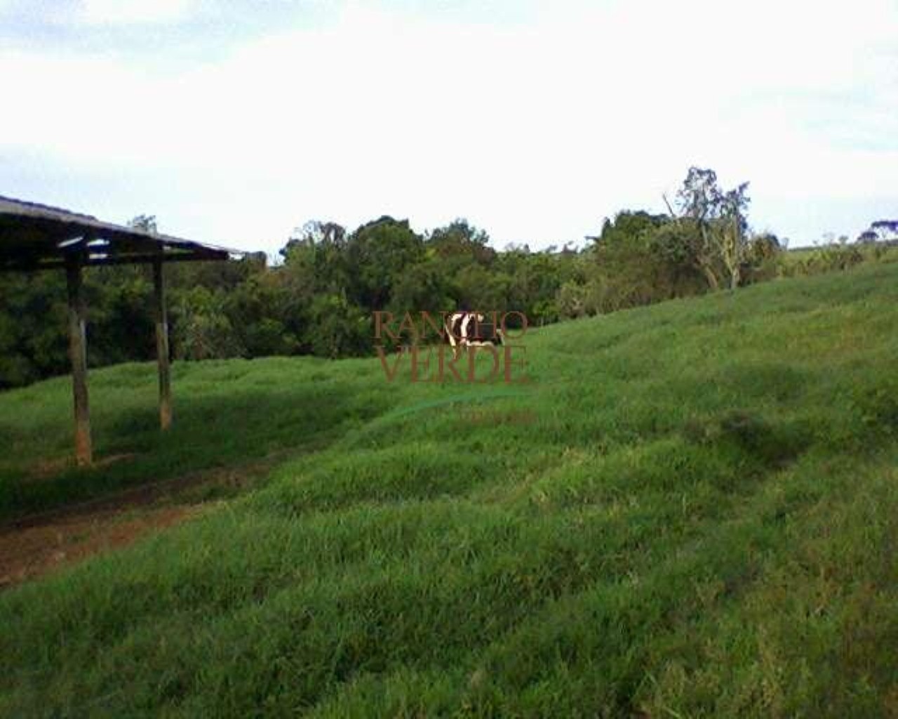 Fazenda de 660 ha em Cruzília, MG