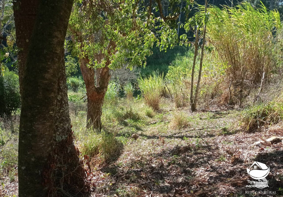 Terreno de 14 ha em São Bento do Sapucaí, SP