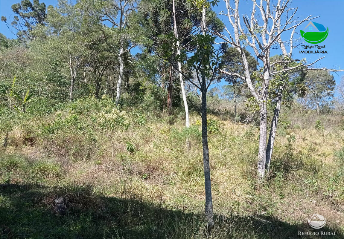 Terreno de 14 ha em São Bento do Sapucaí, SP