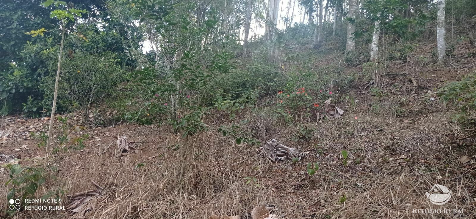 Sítio de 4 ha em Monteiro Lobato, SP