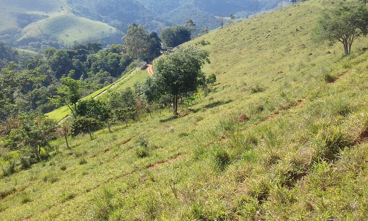 Terreno de 7 ha em Monteiro Lobato, SP