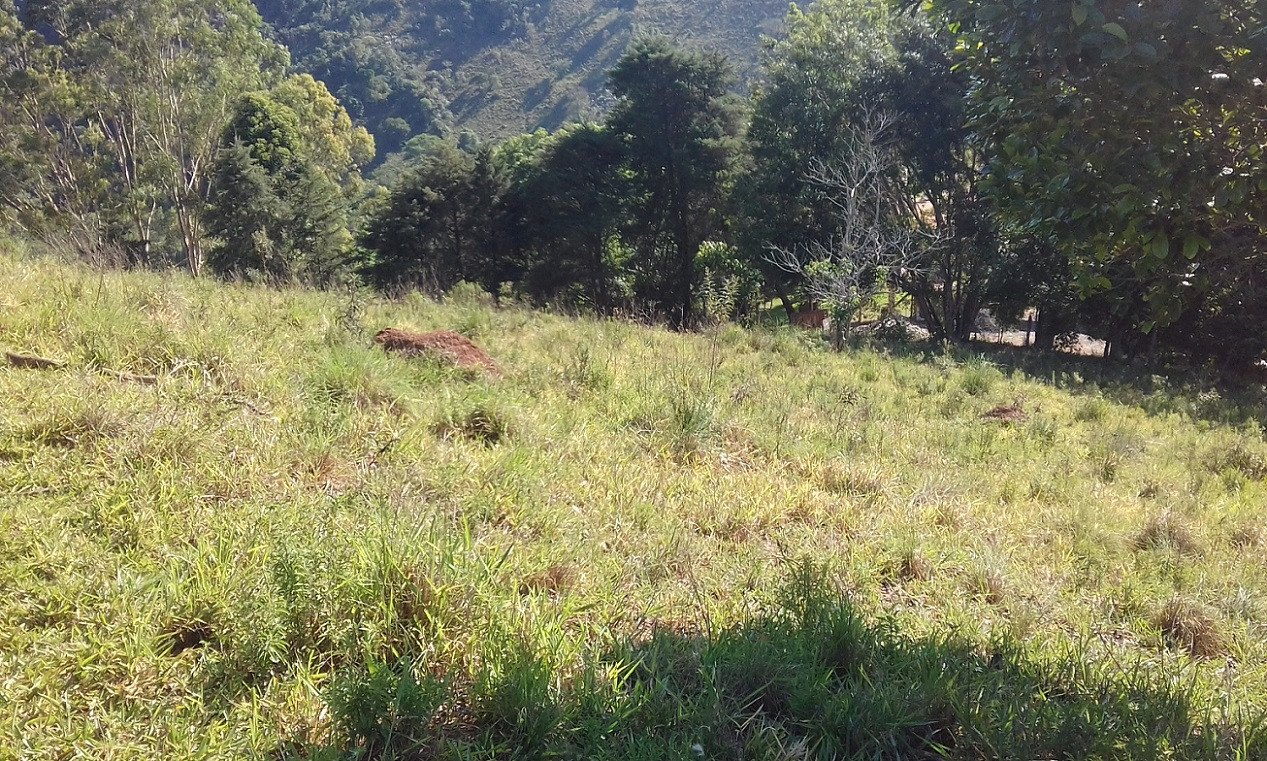 Terreno de 7 ha em Monteiro Lobato, SP