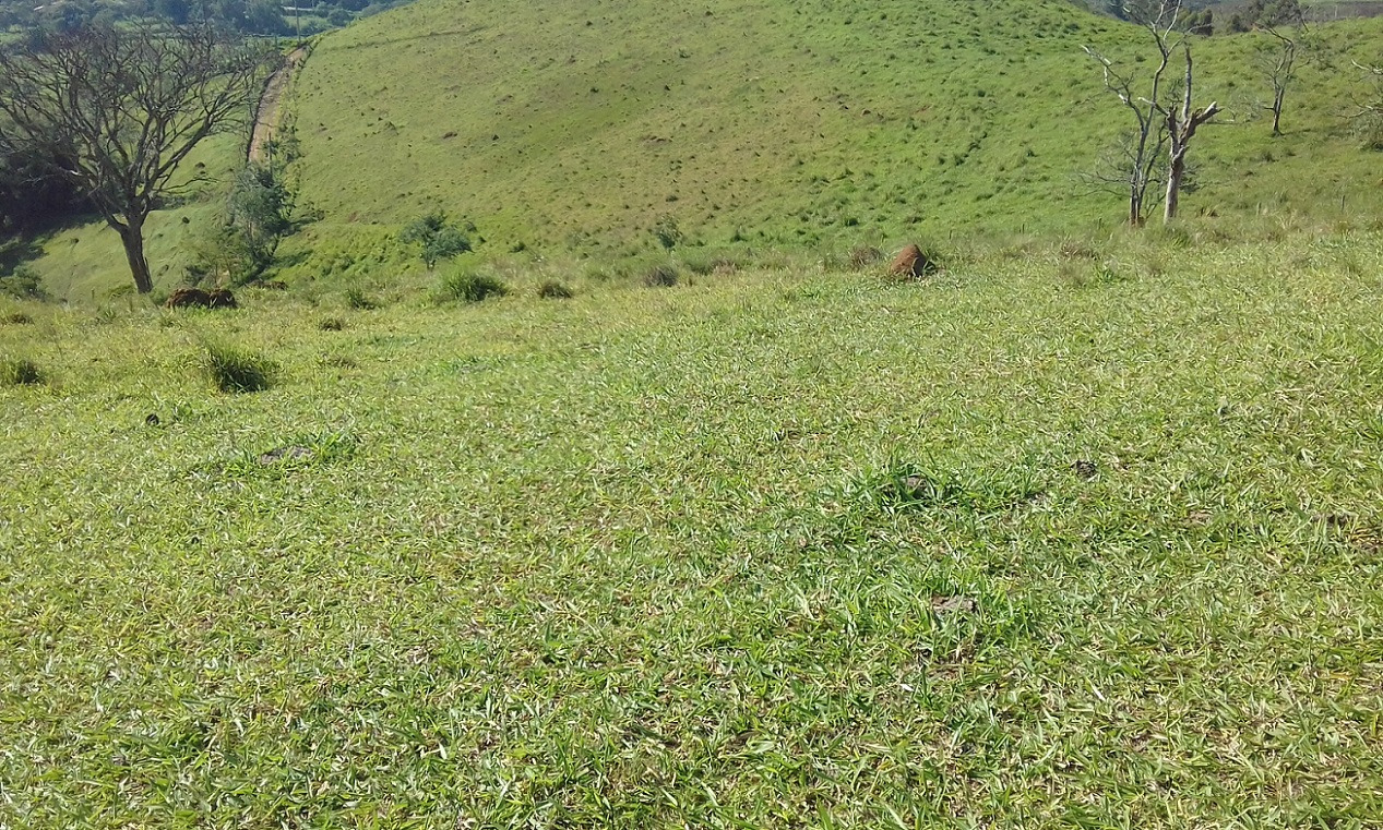 Terreno de 7 ha em Monteiro Lobato, SP