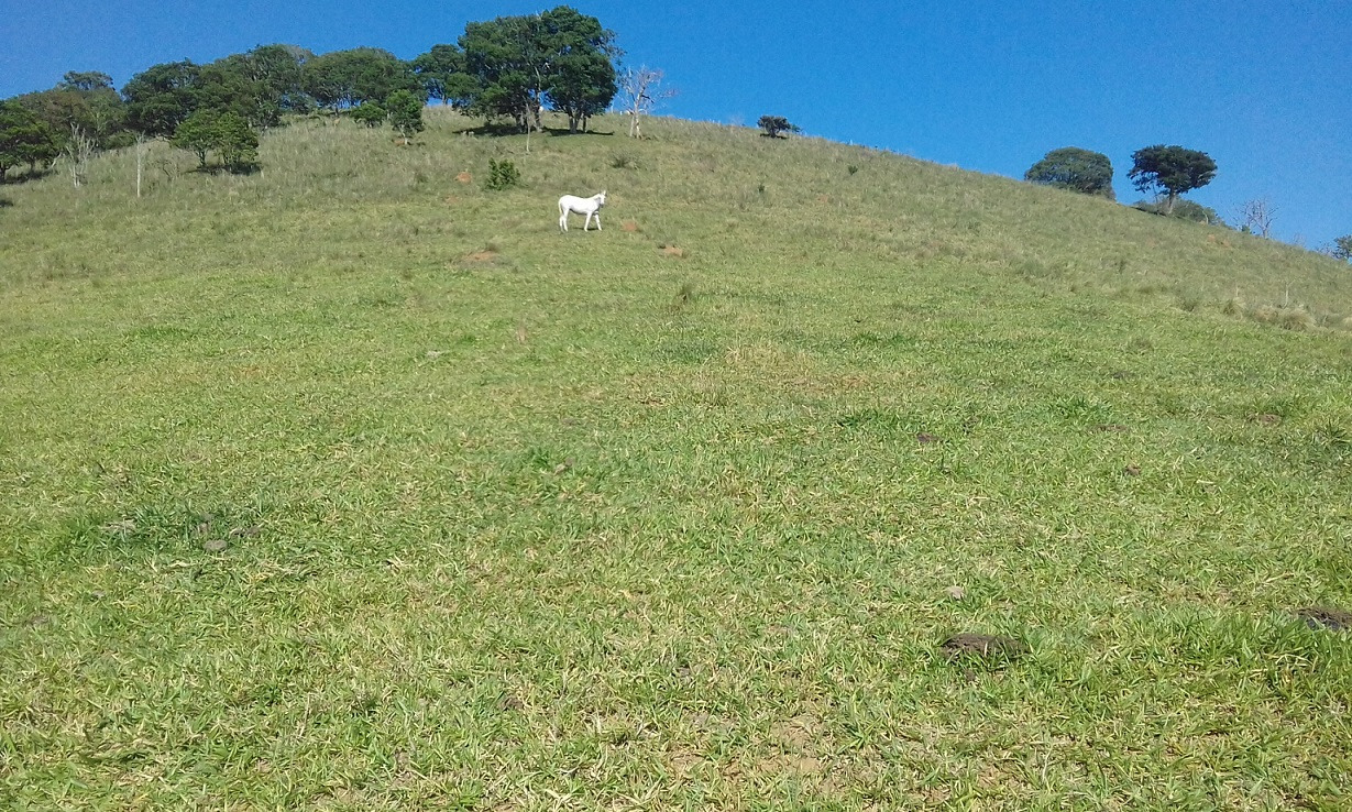 Terreno de 7 ha em Monteiro Lobato, SP