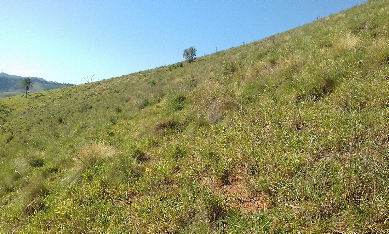 Terreno de 7 ha em Monteiro Lobato, SP