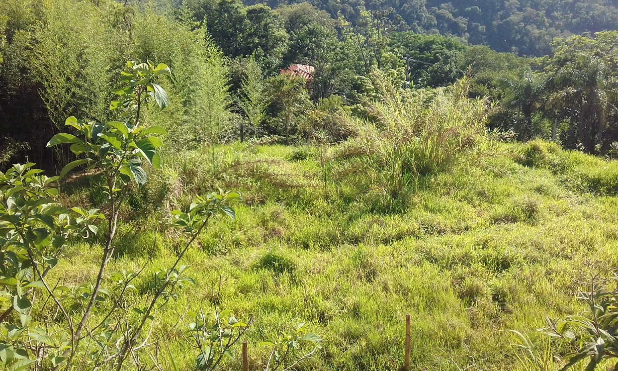 Terreno de 7 ha em Monteiro Lobato, SP