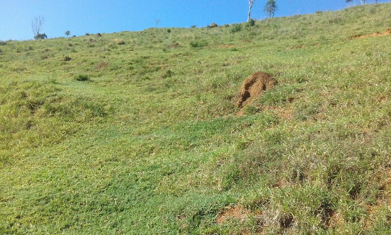 Terreno de 7 ha em Monteiro Lobato, SP