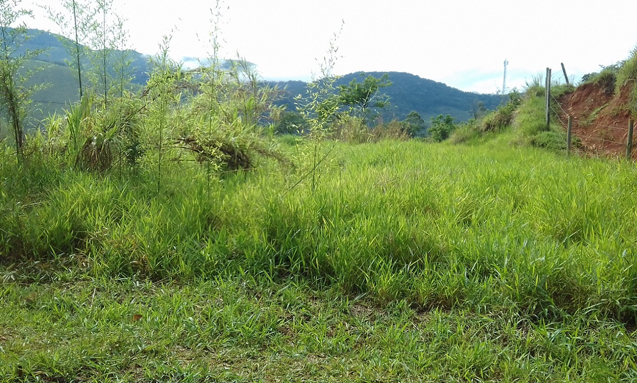 Terreno de 7 ha em Monteiro Lobato, SP