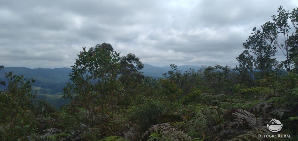 Terreno de 2 ha em Monteiro Lobato, SP