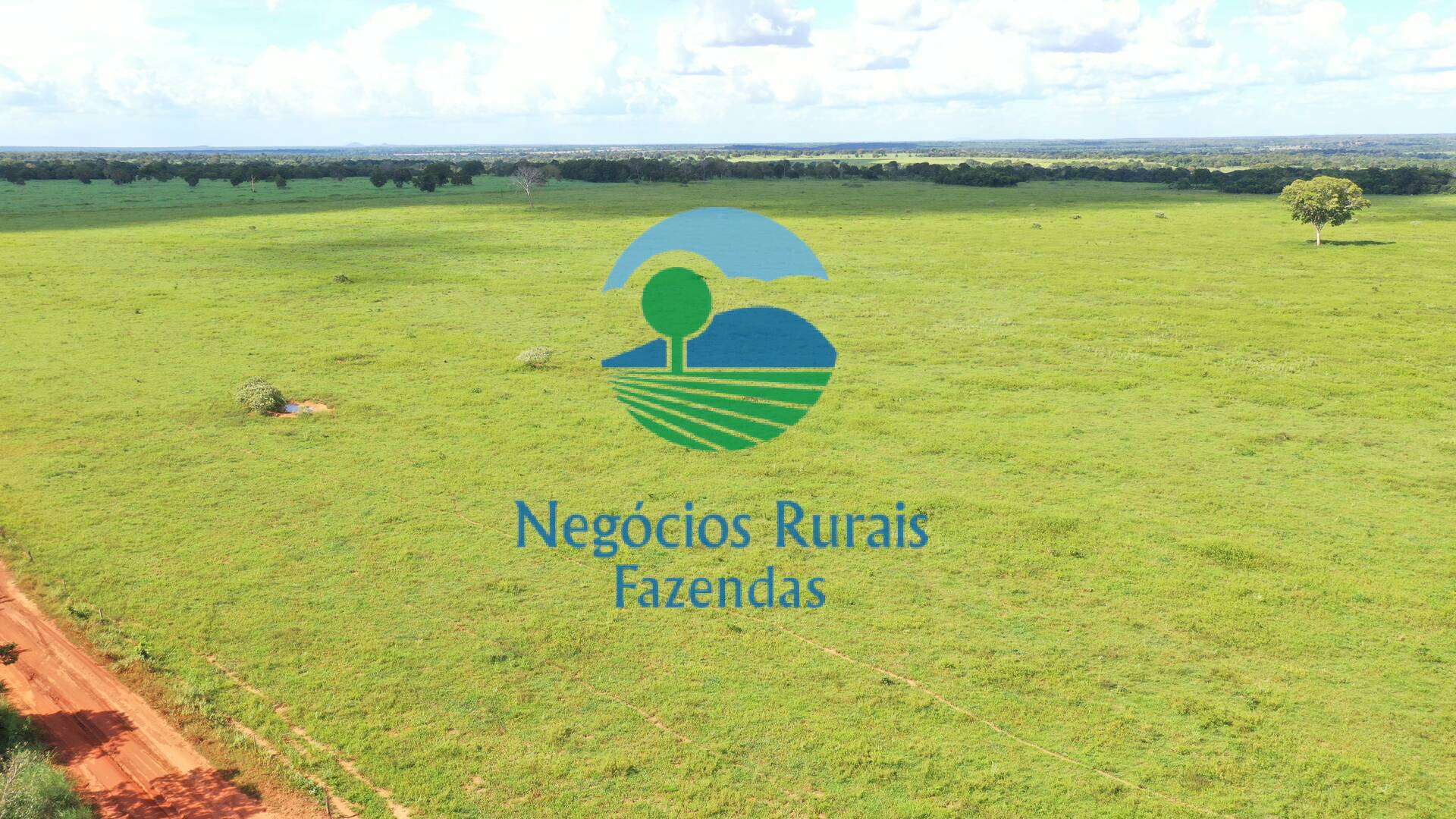 Fazenda de 464 ha em Novo Planalto, GO