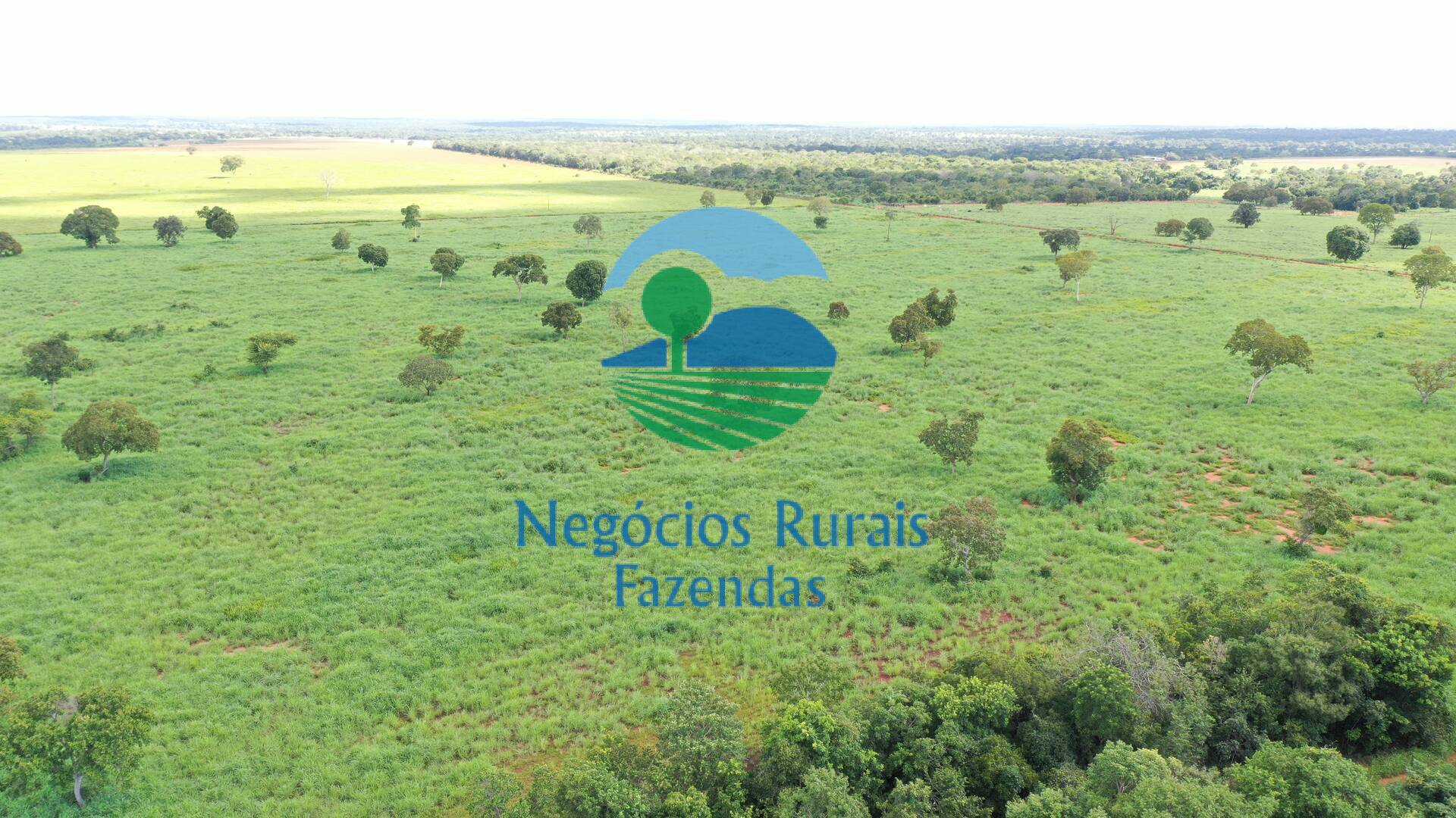 Fazenda de 464 ha em Novo Planalto, GO