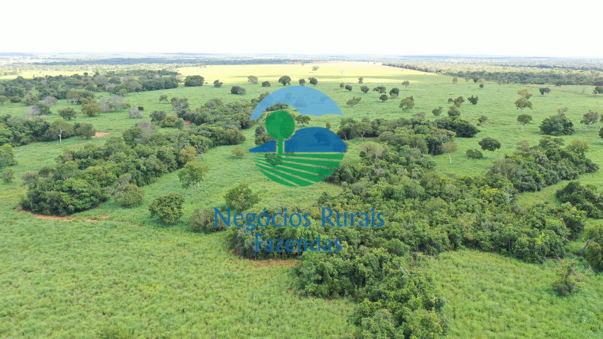 Fazenda de 464 ha em Novo Planalto, GO