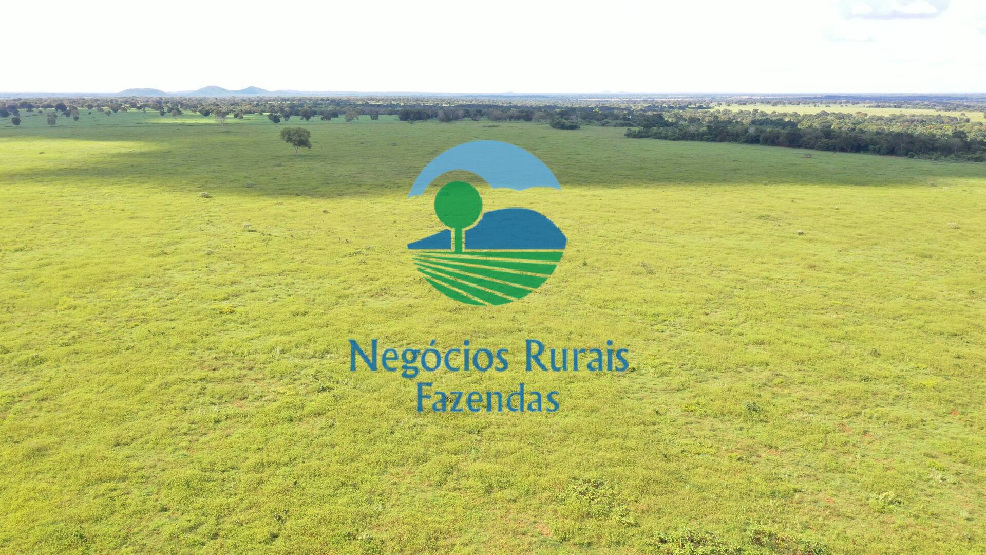 Fazenda de 464 ha em Novo Planalto, GO