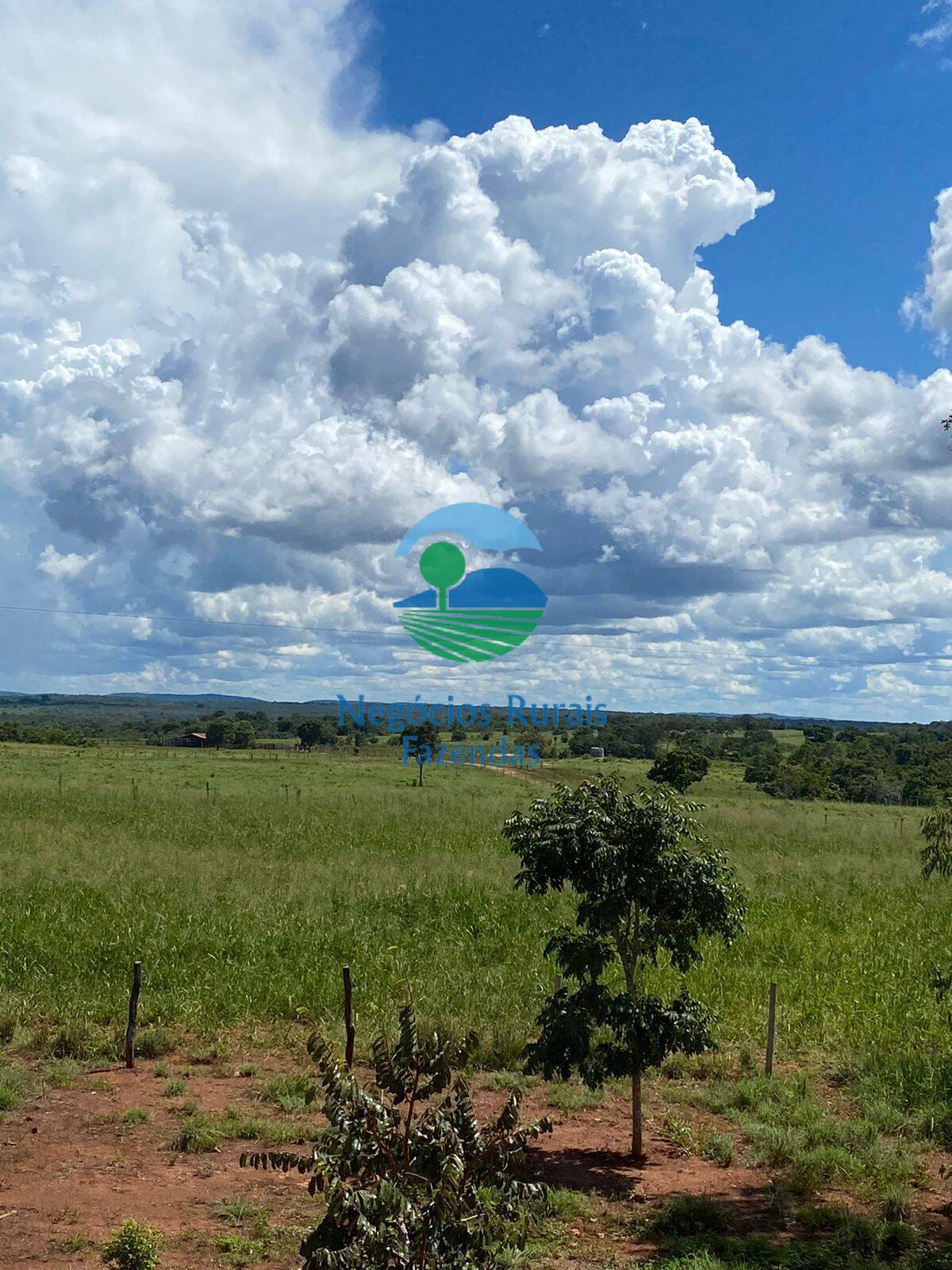 Fazenda de 1.342 ha em São Valério, TO