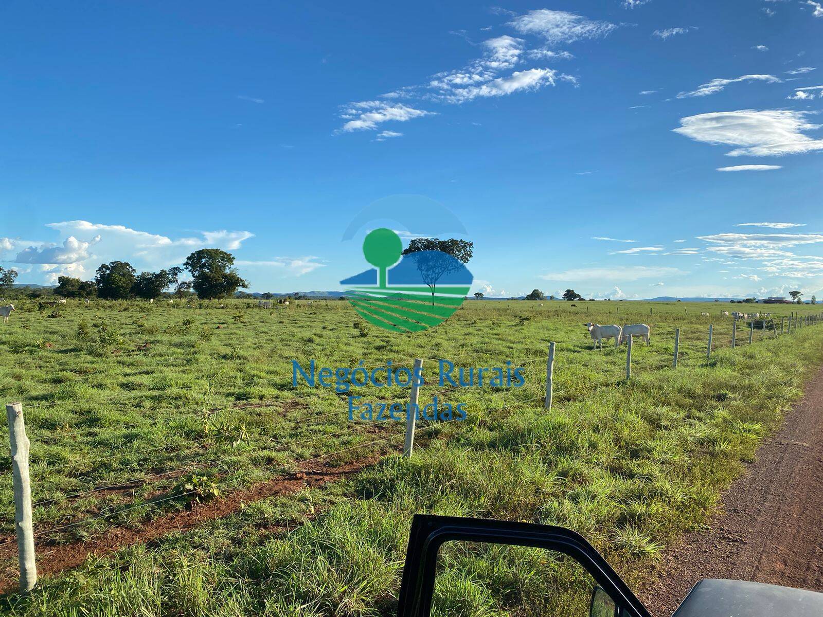 Fazenda de 1.342 ha em São Valério, TO