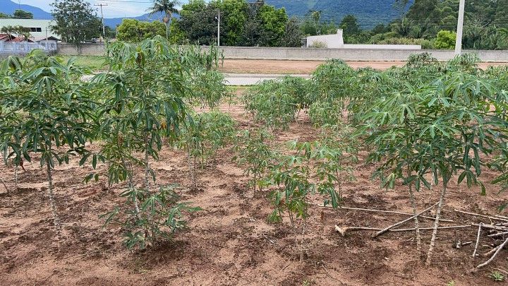 Terreno de 360 m² em Maquiné, RS