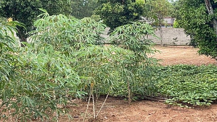 Terreno de 360 m² em Maquiné, RS