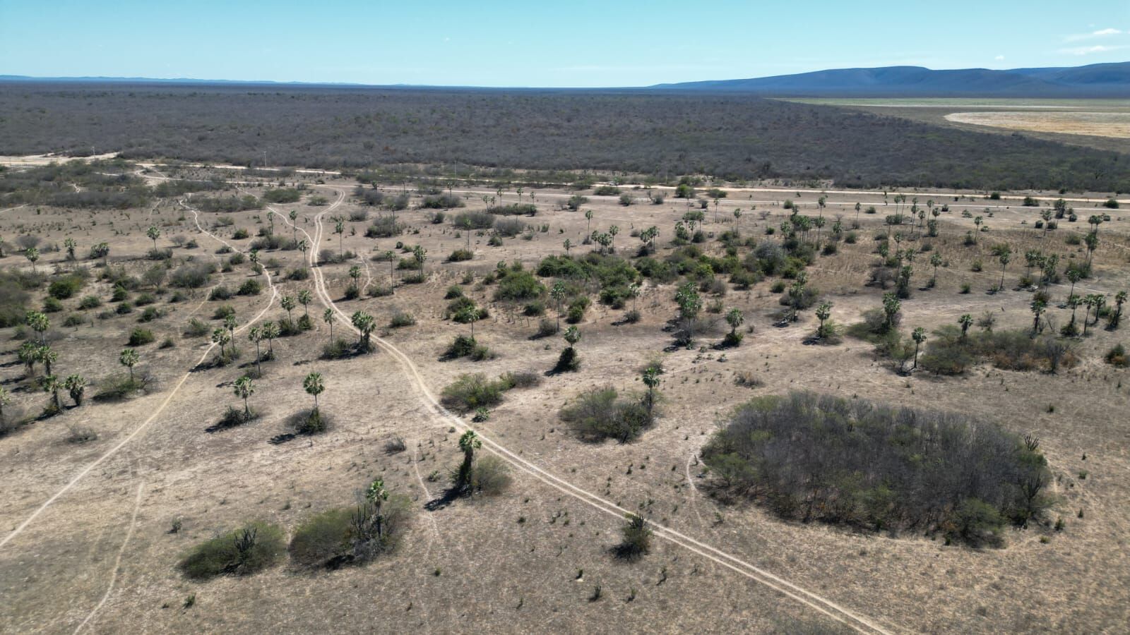 Fazenda de 496 ha em Barra, BA