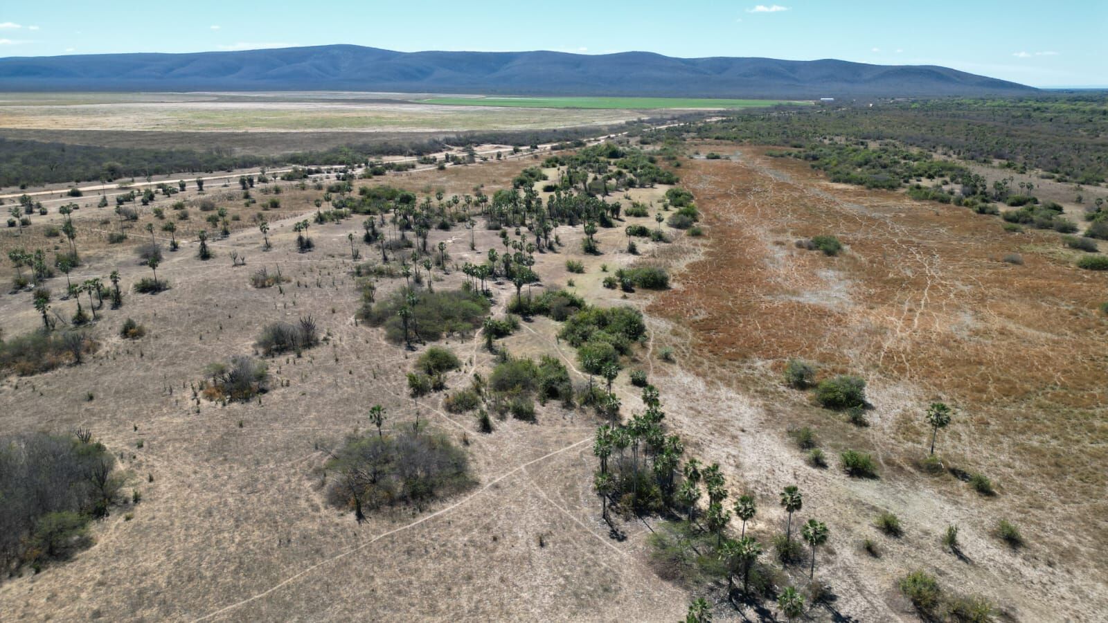 Fazenda de 496 ha em Barra, BA