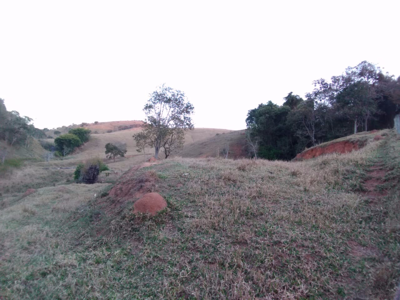 Terreno de 41 ha em Cunha, SP