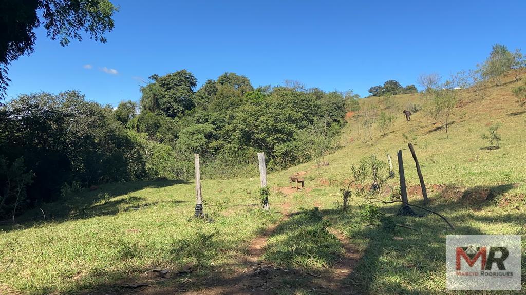 Terreno de 51 ha em Estiva, MG