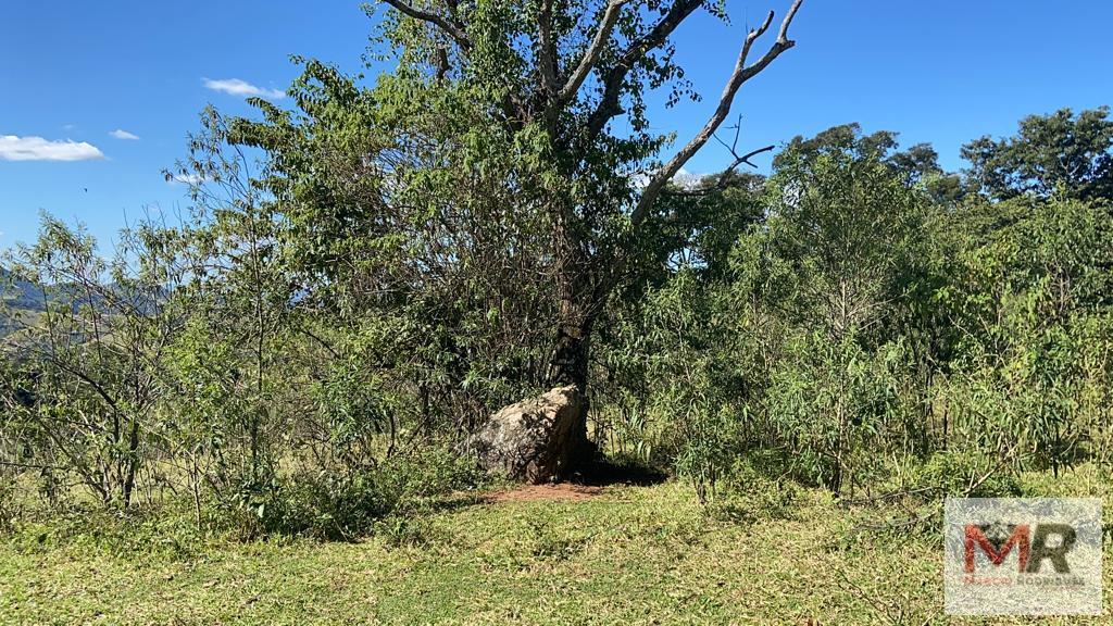 Terreno de 51 ha em Estiva, MG