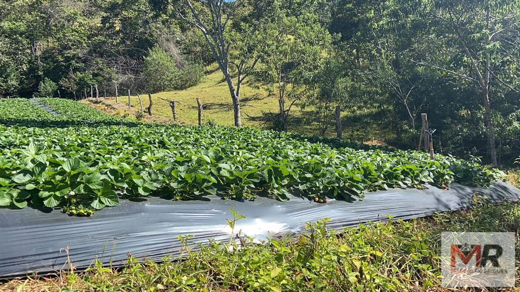 Terreno de 51 ha em Estiva, MG