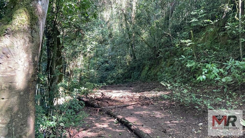 Terreno de 51 ha em Estiva, MG