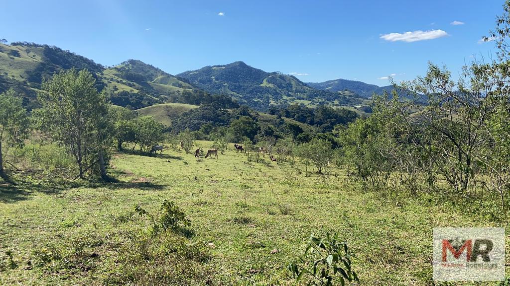 Terreno de 51 ha em Estiva, MG