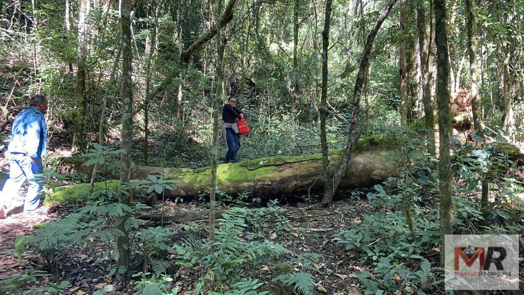 Terreno de 51 ha em Estiva, MG