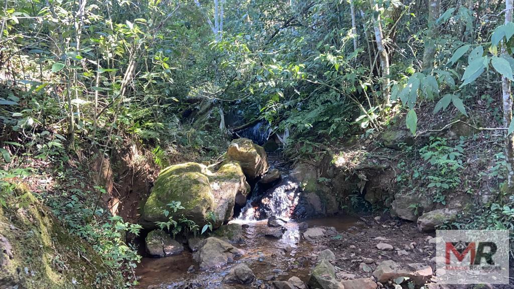 Terreno de 51 ha em Estiva, MG