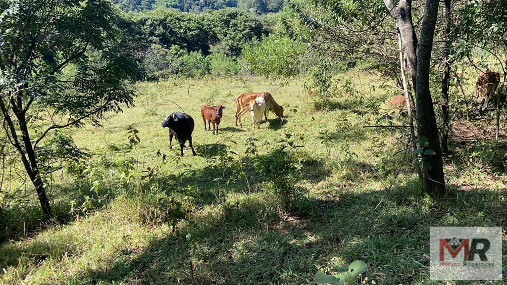 Terreno de 51 ha em Estiva, MG