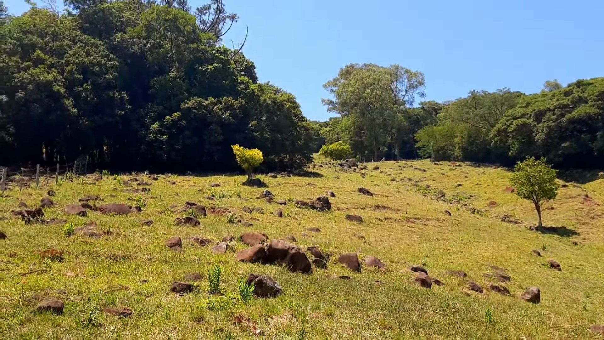 Terreno de 6 ha em Santo Antônio da Patrulha, RS