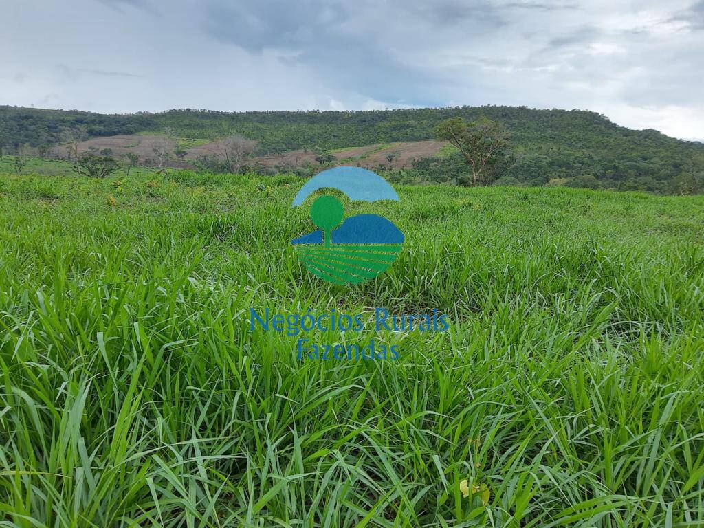 Fazenda de 1.936 ha em Rio Sono, TO