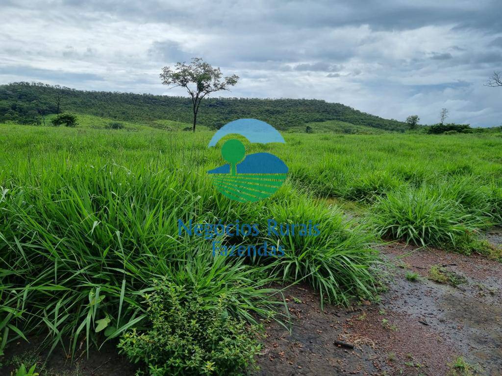 Fazenda de 1.936 ha em Rio Sono, TO