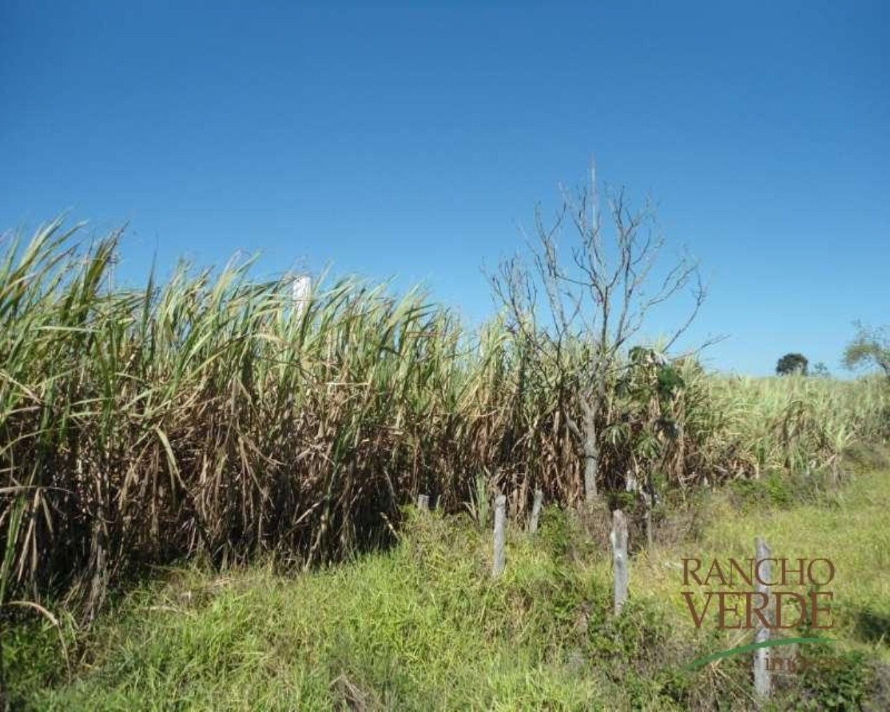 Terreno de 7 ha em Caçapava, SP