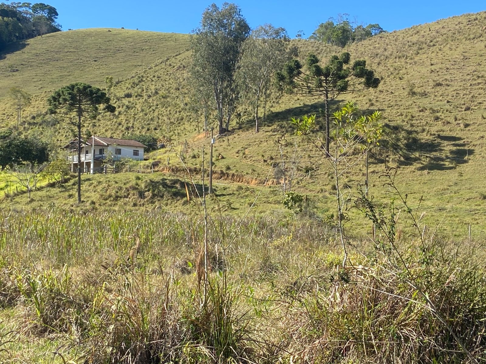 Sítio de 17 ha em São Luiz do Paraitinga, SP