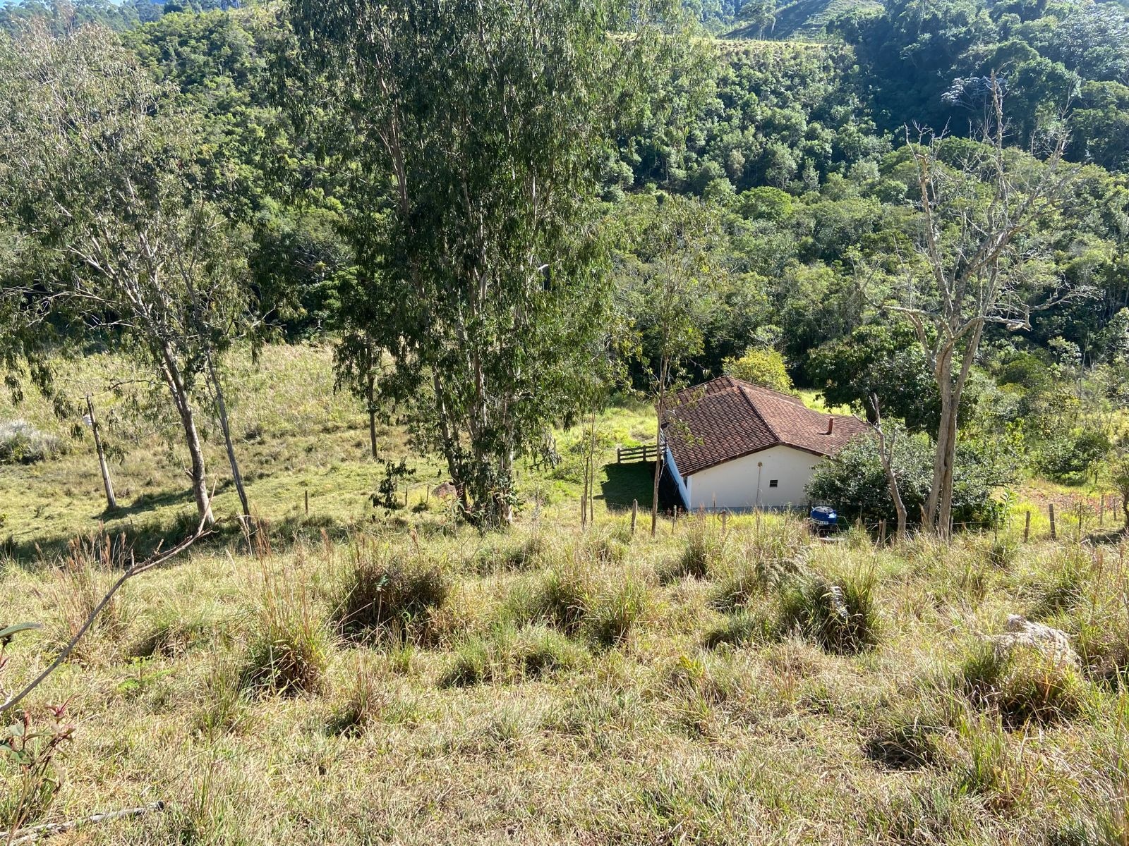 Sítio de 17 ha em São Luiz do Paraitinga, SP