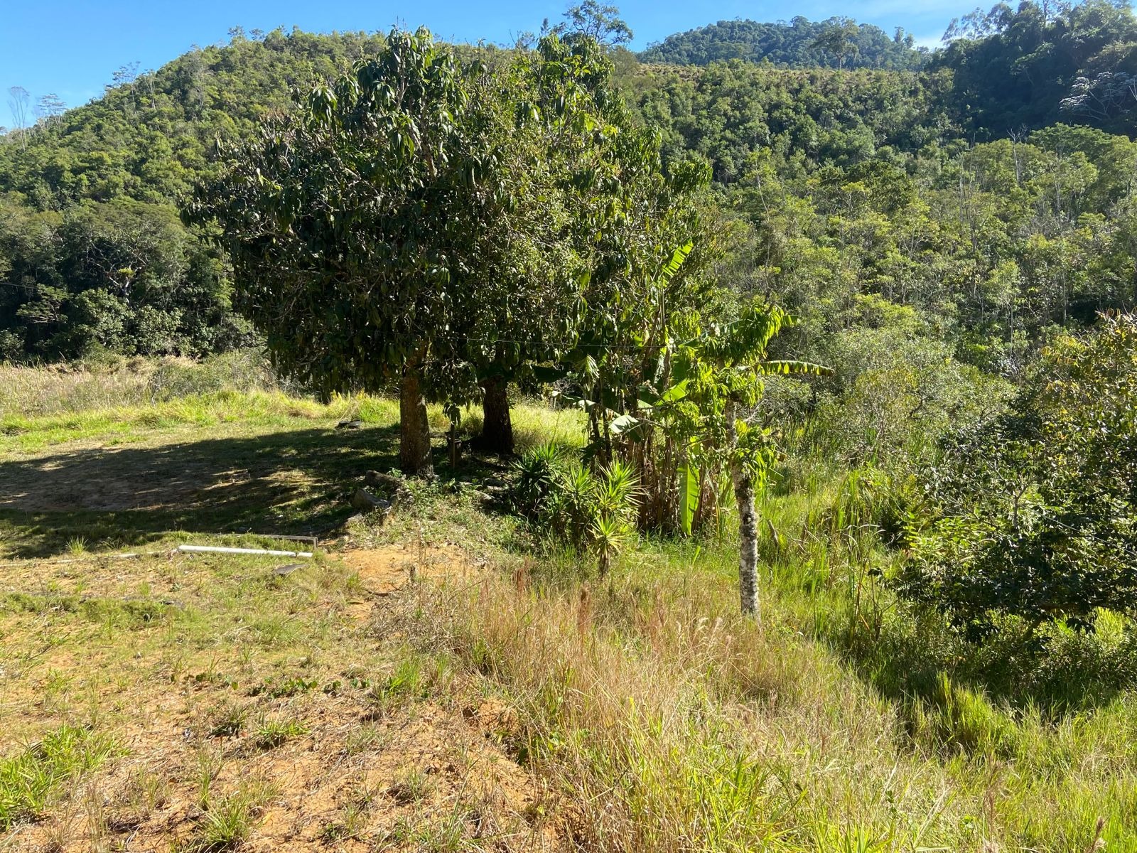 Sítio de 17 ha em São Luiz do Paraitinga, SP