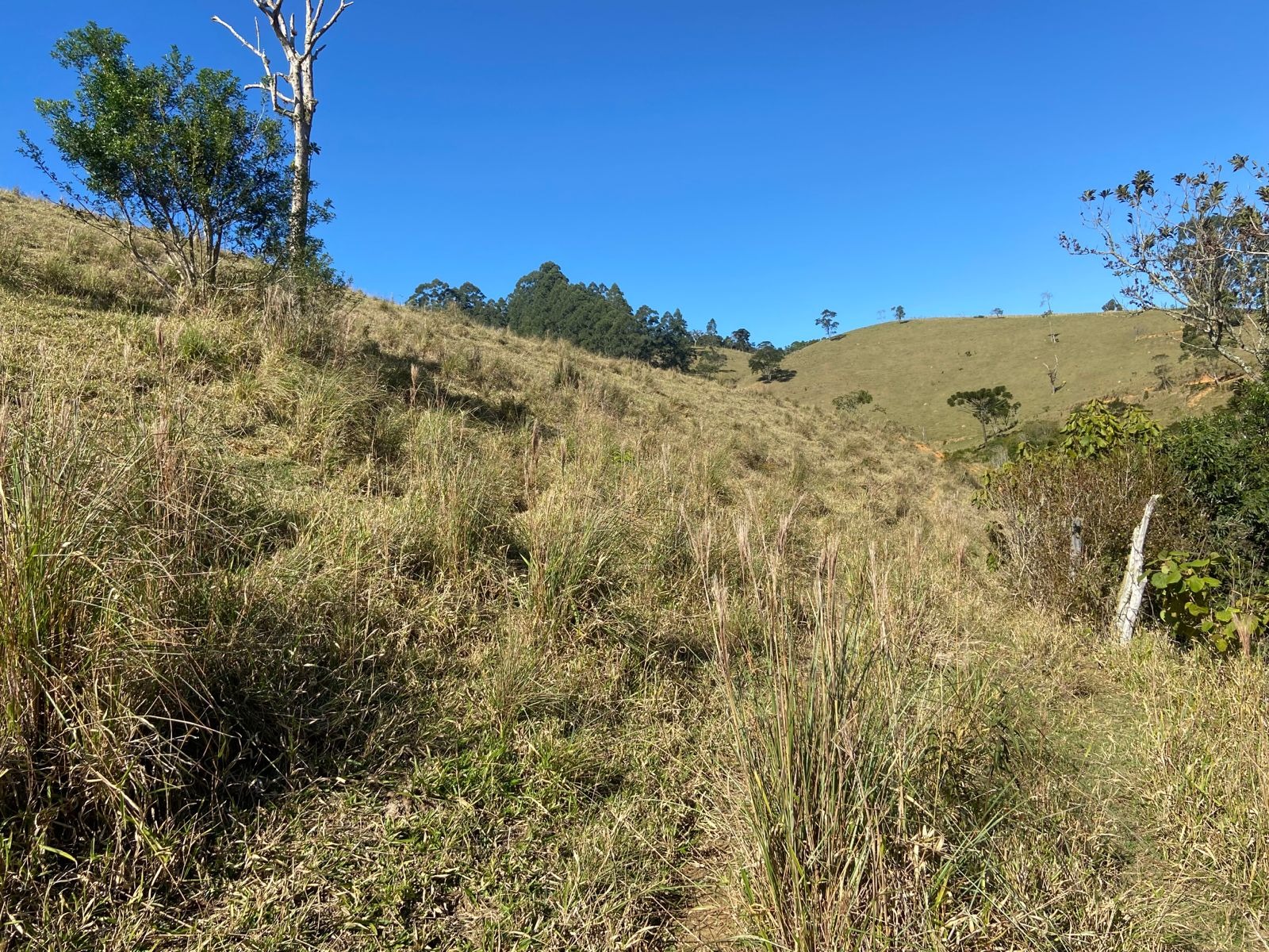 Sítio de 17 ha em São Luiz do Paraitinga, SP