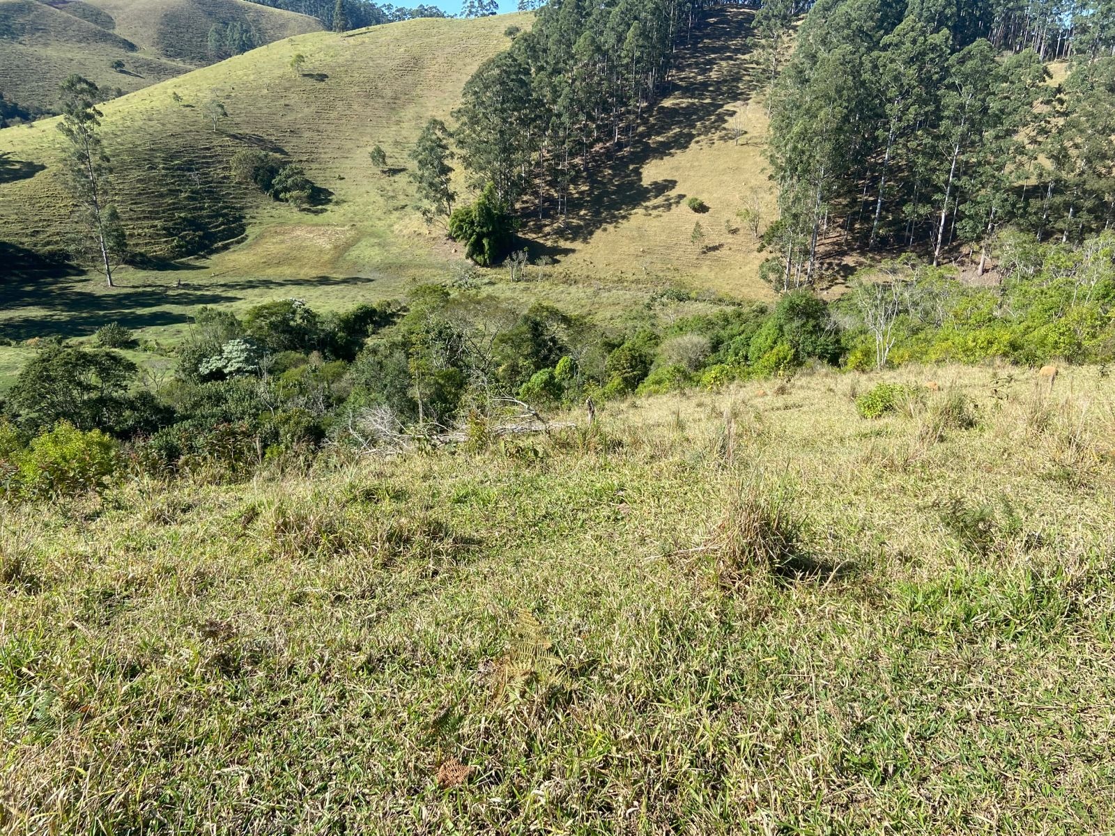 Sítio de 17 ha em São Luiz do Paraitinga, SP