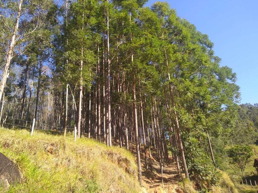 Fazenda de 303 ha em Redenção da Serra, SP