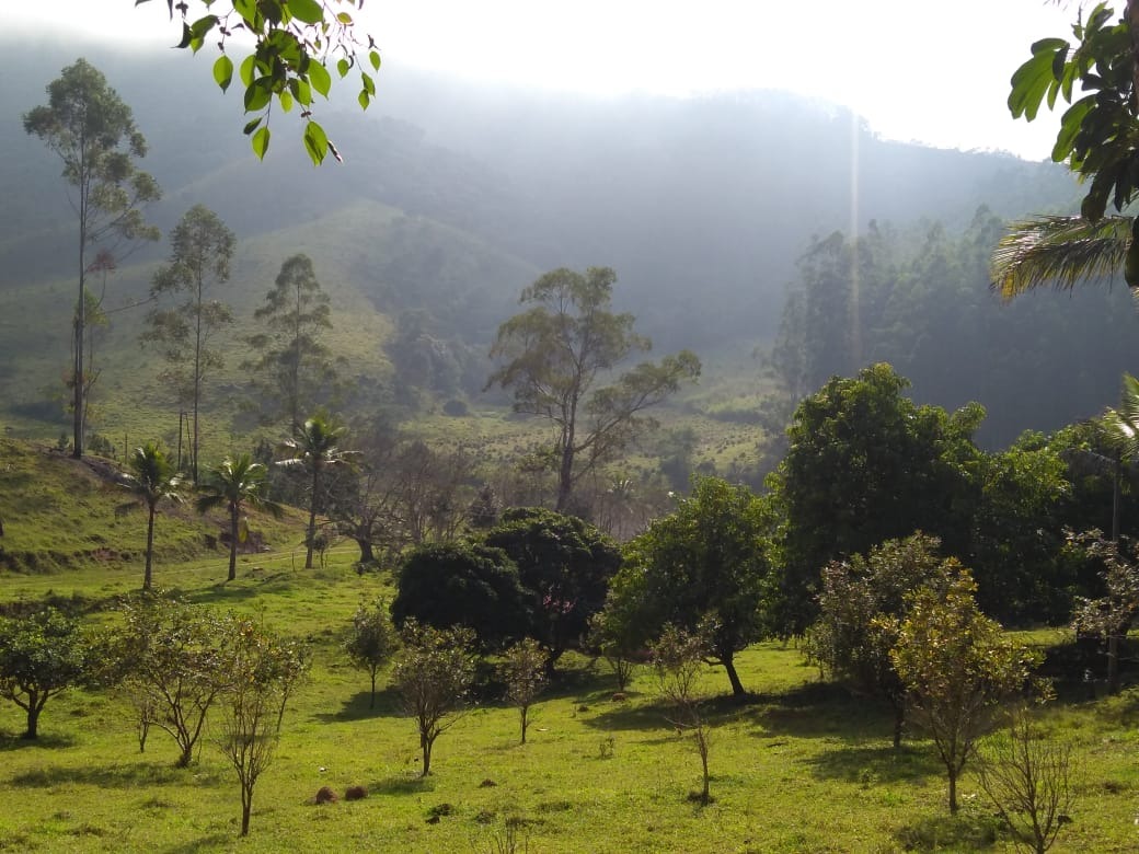 Fazenda de 303 ha em Redenção da Serra, SP