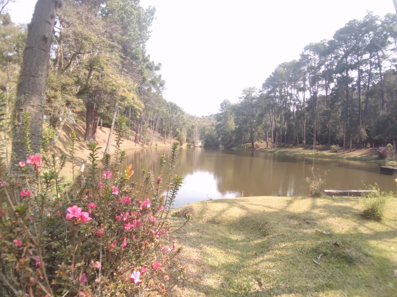 Sítio de 6 ha em Campos do Jordão, SP