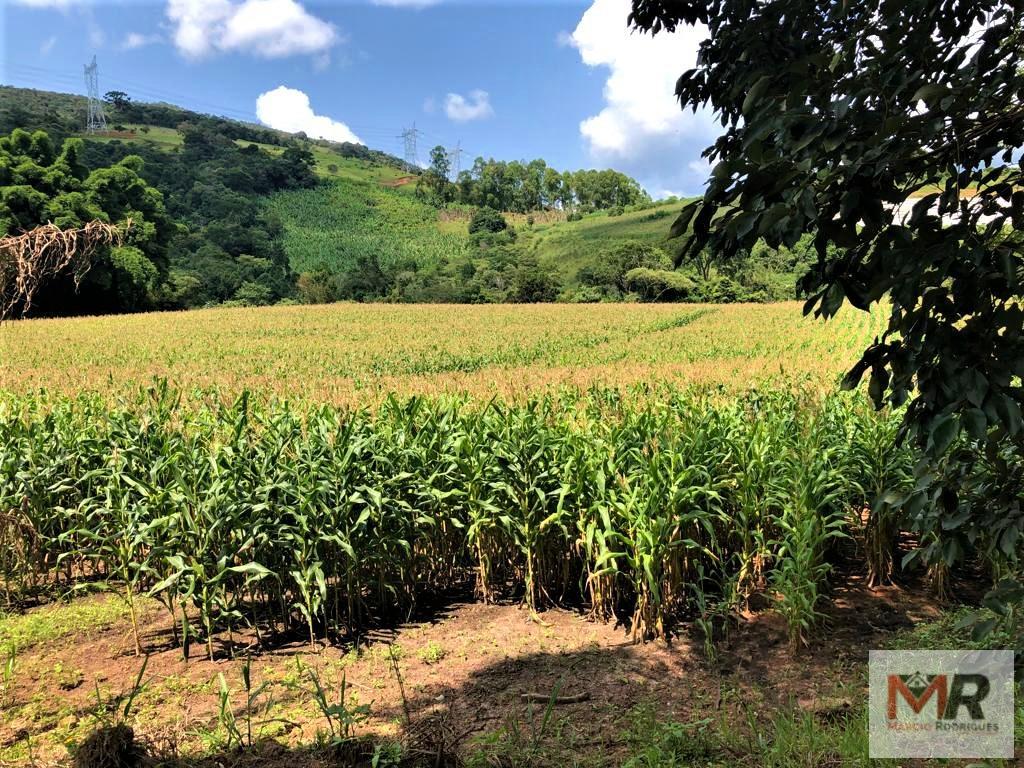 Fazenda de 134 ha em Espírito Santo do Dourado, MG