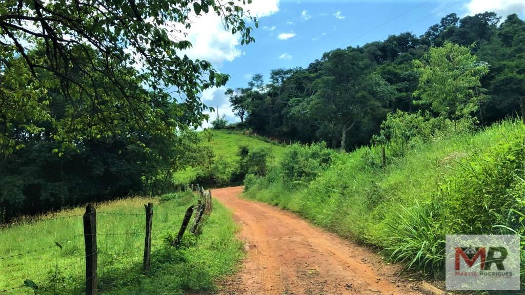 Fazenda de 134 ha em Espírito Santo do Dourado, MG