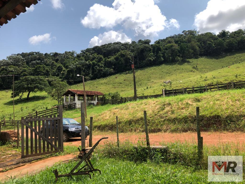 Fazenda de 134 ha em Espírito Santo do Dourado, MG