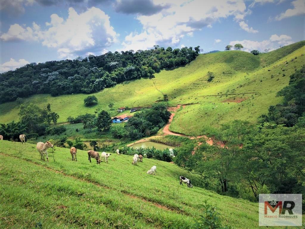 Fazenda de 134 ha em Espírito Santo do Dourado, MG