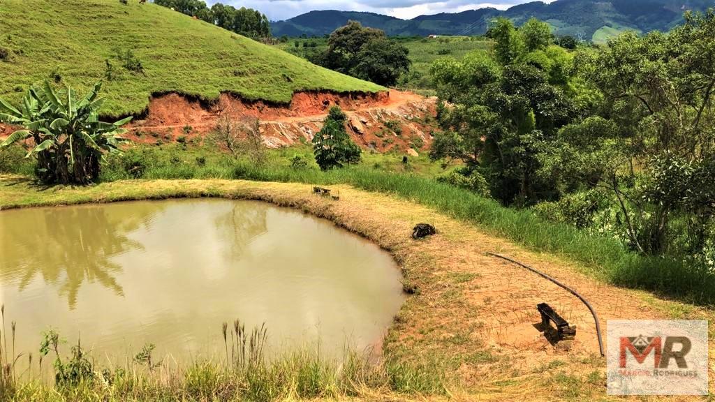 Fazenda de 134 ha em Espírito Santo do Dourado, MG