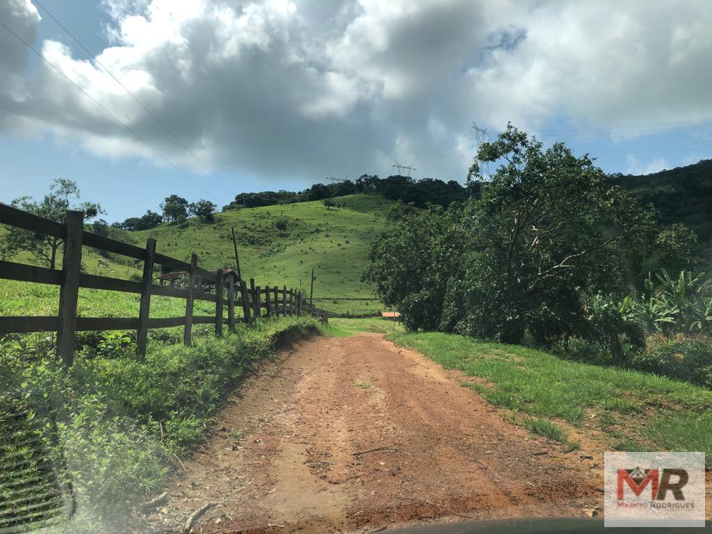 Fazenda de 134 ha em Espírito Santo do Dourado, MG